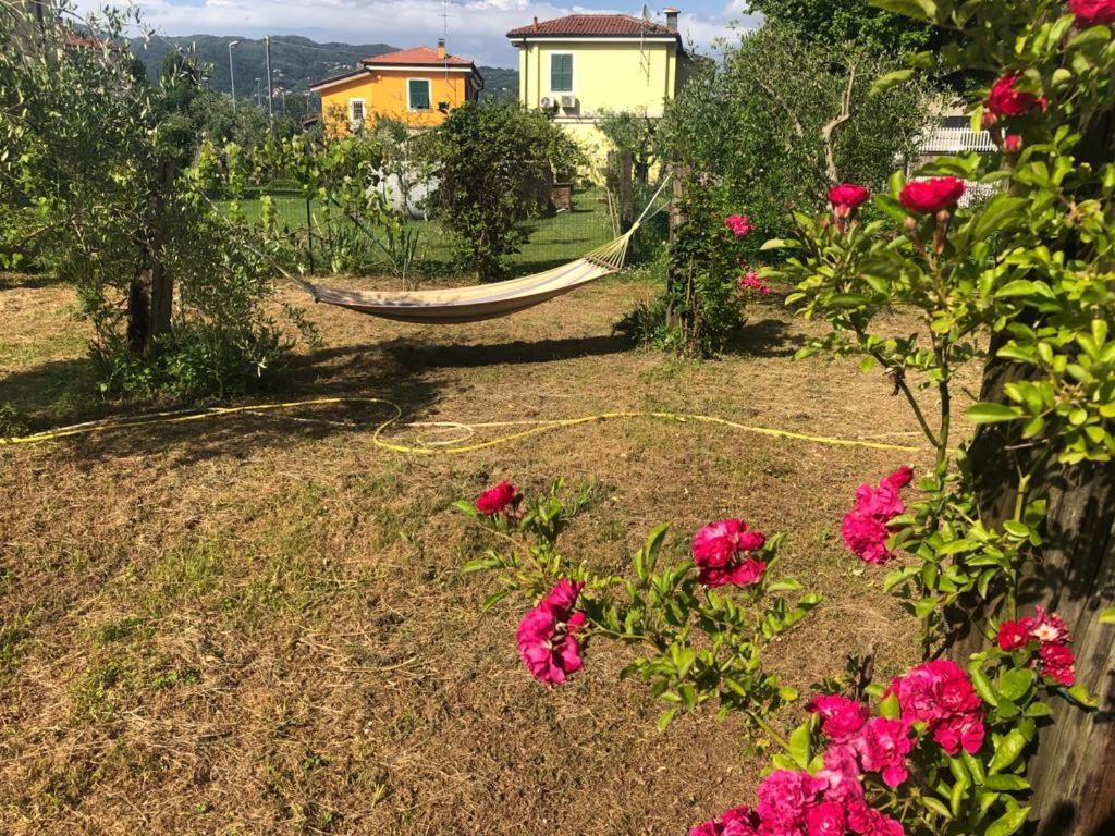 Вилла La Casa Di Ulivi Piano di Follo Экстерьер фото